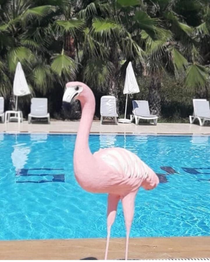Skys Beach Hotel マナウガト エクステリア 写真